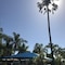 Lani's Holiday Island - Caravan Park - map