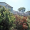 Lookout Holiday Units - map