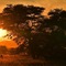 Ohange Namibia Lodge - map