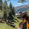 Park Chalet Village - map