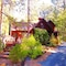Always Inn Idyllwild Vacation Cottages - map