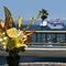 The Avalon Hotel On Catalina Island - map