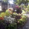 Secret Garden Bed & Breakfast - map