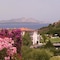 Hotel Olimpia - map