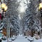 Seasons Four By Snowmass Vacations - map