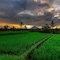 Kawi Resort A Spiritual Sanctuary To Escape - map