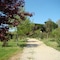 Camping Cap Sud - map
