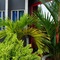 Holland Lodge Paramaribo - map