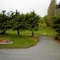 Miners Arms Farm Bed And Breakfast - map
