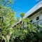 Pacha Tulum Boutique Hotel - map