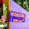 Wonderland - map
