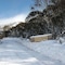 Wintergreen 3 - map