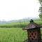 Villa Jj And Spa Ubud - map