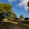 Nikis Dream Comfy Apartments - map