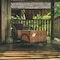Desa Saya Eco Luxury Resort & Spa - map
