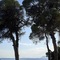 Elivi Skiathos - map