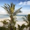 Palafitos Overwater Bungalows At El Dorado Maroma - Adults Only - map