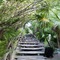 Kimpton Aluna Tulum By Ihg - map