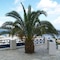 Aegean View Hotel - map