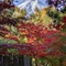 Fujisan Onsen Hotel Kaneyamaen - map