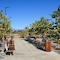 Hampton Inn San Jose Cherry Ave - map