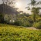 The Mesare Resort - map