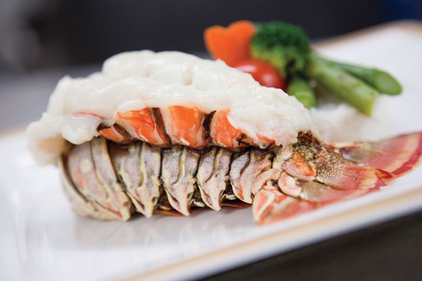 QM Gastronomía