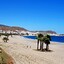 Ruleta Playa Andalucía