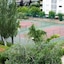Surf Mar Hotel