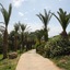 Ascos Coral Beach Hotel