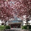 Maritim Hotel Magdeburg