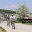 Burgenland