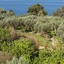 Relais Regina Giovanna