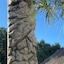 Springhill Suites By Marriott Orlando Lake Buena Vista South