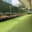 Hilton Mumbai International Airport