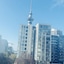 Vr Auckland City