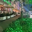 Avalon Hotel