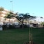 Apartamentos Los Cactus