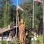 Best Western Plus Yosemite Gateway Inn