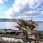 Apartamentos El Bergantin Menorca Club (Adults+16)