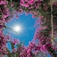 Atlantis Beach Villa