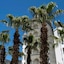 Xl Hotels - All Inclusive