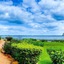 Miridiya Lake Resort