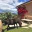 Hotel Glamping Borgo Di Campagna