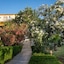 Kavros Resort