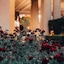 Palazzo Hotel