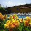 Hotel Hacienda Don Cenobio
