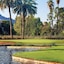 Orange Tree Resort