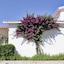 Skopelos Village Hotel