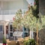 Anika Studios